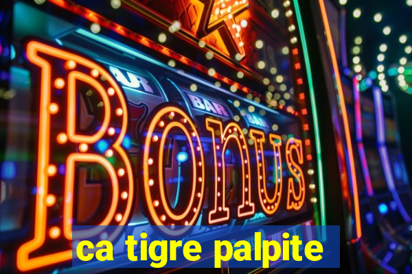 ca tigre palpite